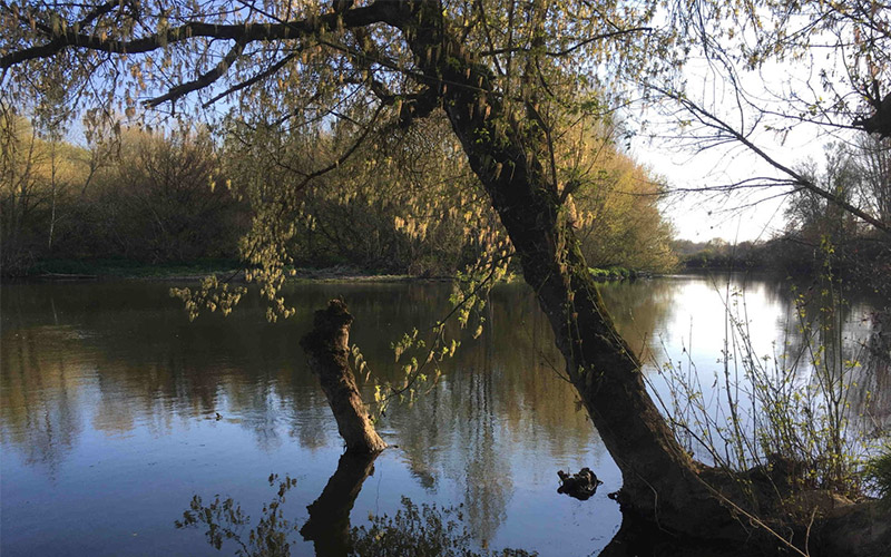 fil-riviere
